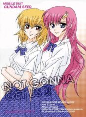 (C64) [Dobuita Street, MK factory (Katsuki Mana)] NOT GONNA GET US!! (Mobile Suit Gundam SEED)