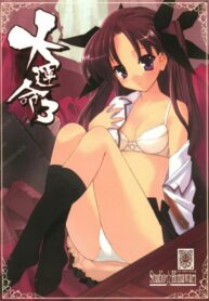 (C68) [Studio Himawari (Himukai Kyousuke, Ginta)] Daiunmei 3 (Fate/stay night)