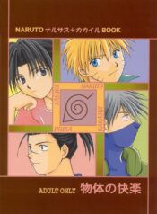 [Iikamoshinnai (Mizushima Yui)] Buttai no Kairaku (Naruto) [English] [Incomplete]