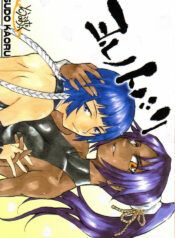 (C71) [Soul Magic (Sudoo Kaoru)] Yorunotobari (Bleach)