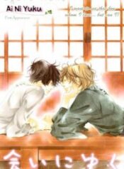Ai ni Yuku