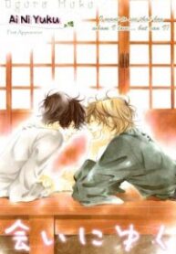 Ai ni Yuku