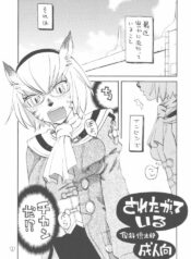 [Nichiyouban (Hoshina Shintarou)] Saretagatte iru (Final Fantasy XI) [2008-01-25]