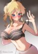 [Nomsisom] HoyoCollection (Genshin Impact)(ZenlessZoneZero)(English)