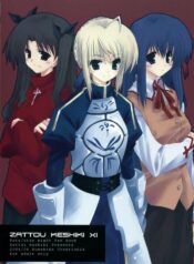 (SC24) [Zattou Keshiki (10mo)] ZATTOU KESHIKI 11 (Fate/stay night)