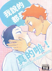 [HO] I am telling the truth, okay! (Haikyuu!!) [Chinese]