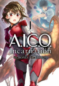 AICO Incarnation