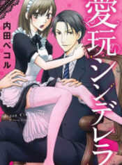 Aigan Cinderella